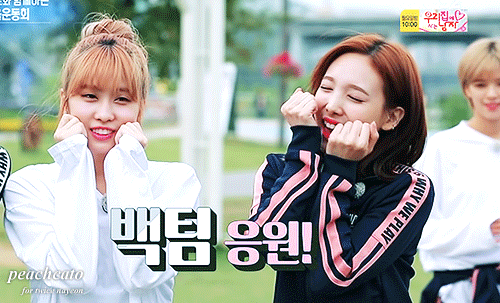 상큼한 토끼, 나연이 예능연구소 짤 모음+ 데이터조심 | 인스티즈