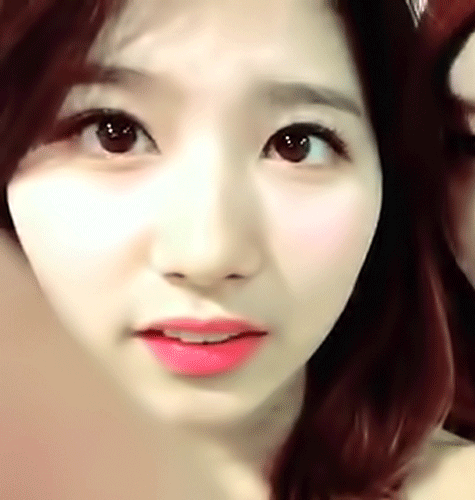 [트와이스] 사나의 설날 계획 | 인스티즈