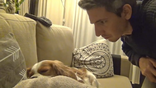 강아지에게 자기코고는 소리를 들려주었다 | 인스티즈