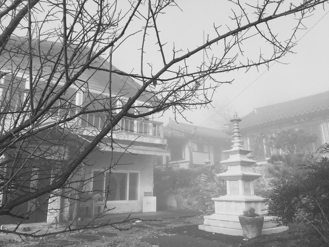 오늘자 안성 상황 | 인스티즈