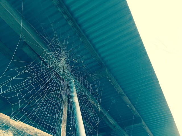 오늘자 안성 상황 | 인스티즈