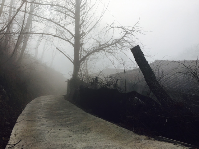 오늘자 안성 상황 | 인스티즈