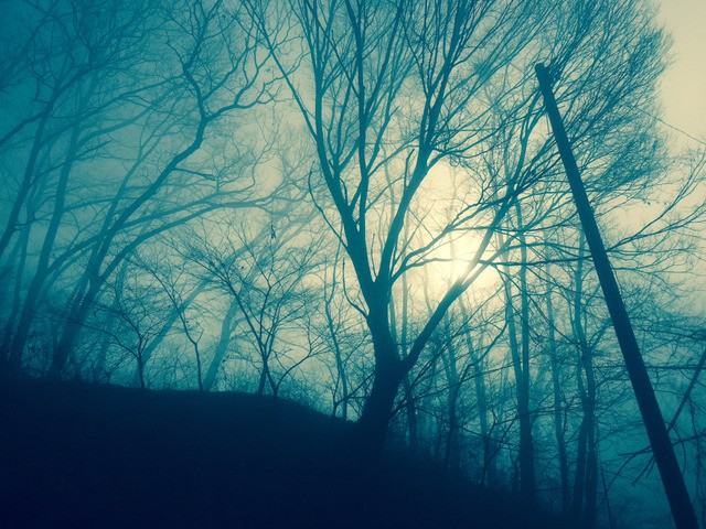 오늘자 안성 상황 | 인스티즈