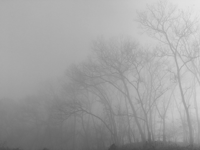 오늘자 안성 상황 | 인스티즈