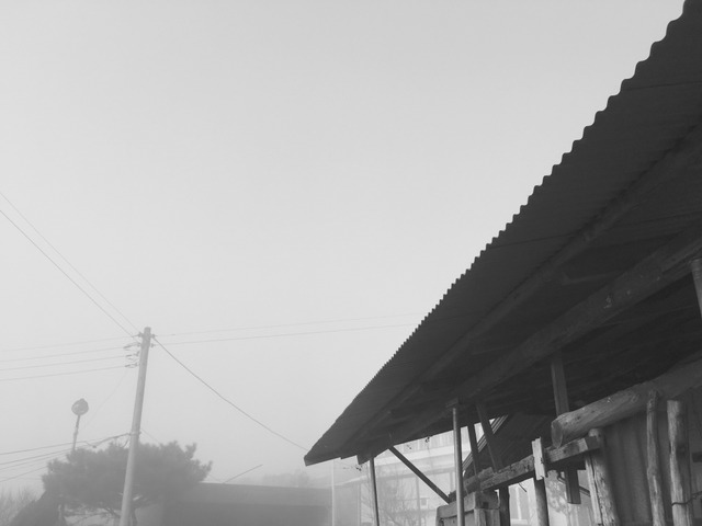 오늘자 안성 상황 | 인스티즈