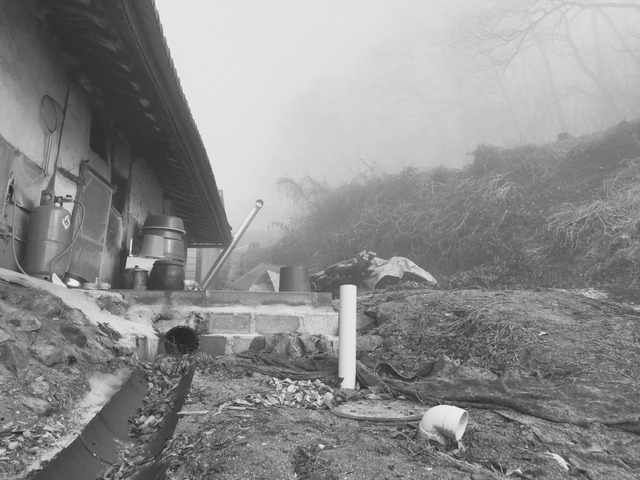 오늘자 안성 상황 | 인스티즈