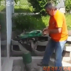 이봐 한잔하고 해.swf | 인스티즈