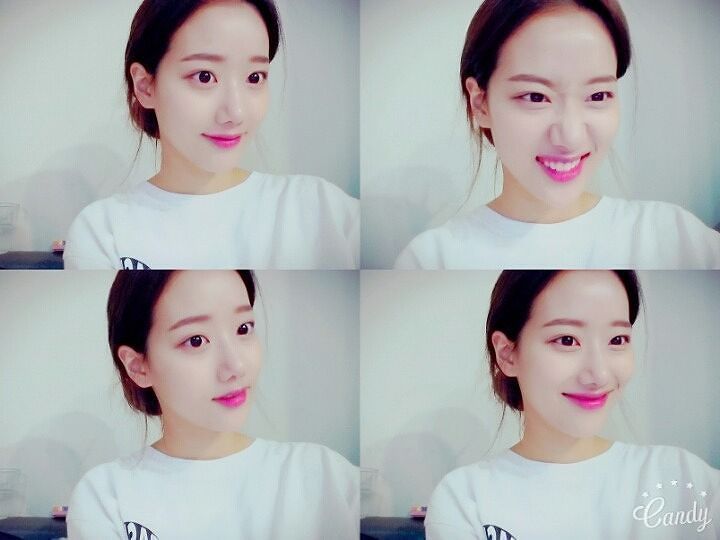 떠오르는 비글돌 ㅇㅇㅍㄹ | 인스티즈