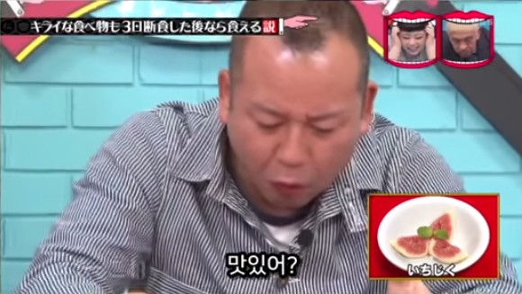 아무리 싫어하는 음식이라도 3일을 굶는다면 먹을수있다 검증ㅋㅋㅋ | 인스티즈