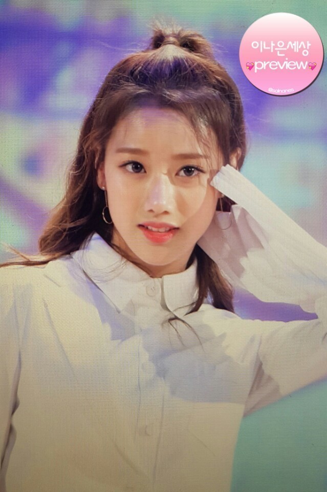 떠오르는 비글돌 ㅇㅇㅍㄹ | 인스티즈