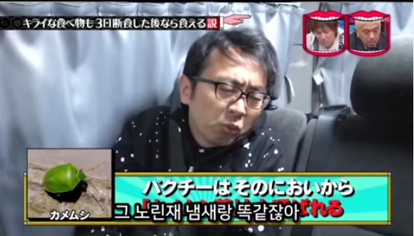 아무리 싫어하는 음식이라도 3일을 굶는다면 먹을수있다 검증ㅋㅋㅋ | 인스티즈