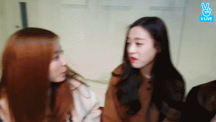 떠오르는 비글돌 ㅇㅇㅍㄹ | 인스티즈