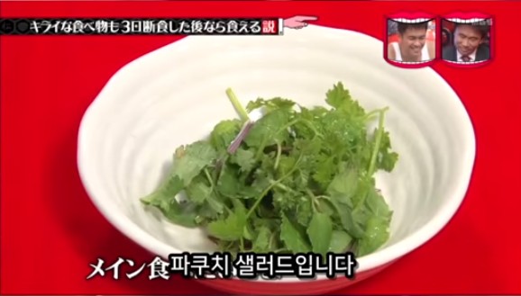 아무리 싫어하는 음식이라도 3일을 굶는다면 먹을수있다 검증ㅋㅋㅋ | 인스티즈