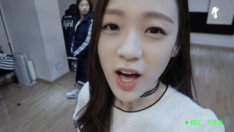 떠오르는 비글돌 ㅇㅇㅍㄹ | 인스티즈