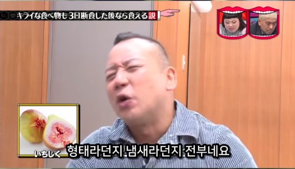 아무리 싫어하는 음식이라도 3일을 굶는다면 먹을수있다 검증ㅋㅋㅋ | 인스티즈