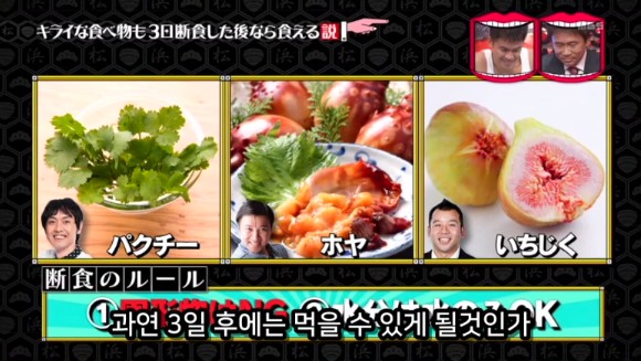 아무리 싫어하는 음식이라도 3일을 굶는다면 먹을수있다 검증ㅋㅋㅋ | 인스티즈