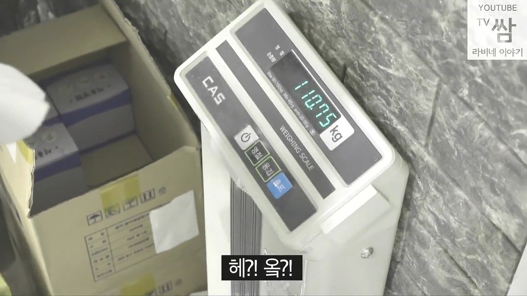 [콩고왕자라비네] PD가 대놓고 웃으며 몰카하는데도 속는 라비와 조나단ㅋㅋㅋㅋㅋㅋㅋ(캡쳐) | 인스티즈