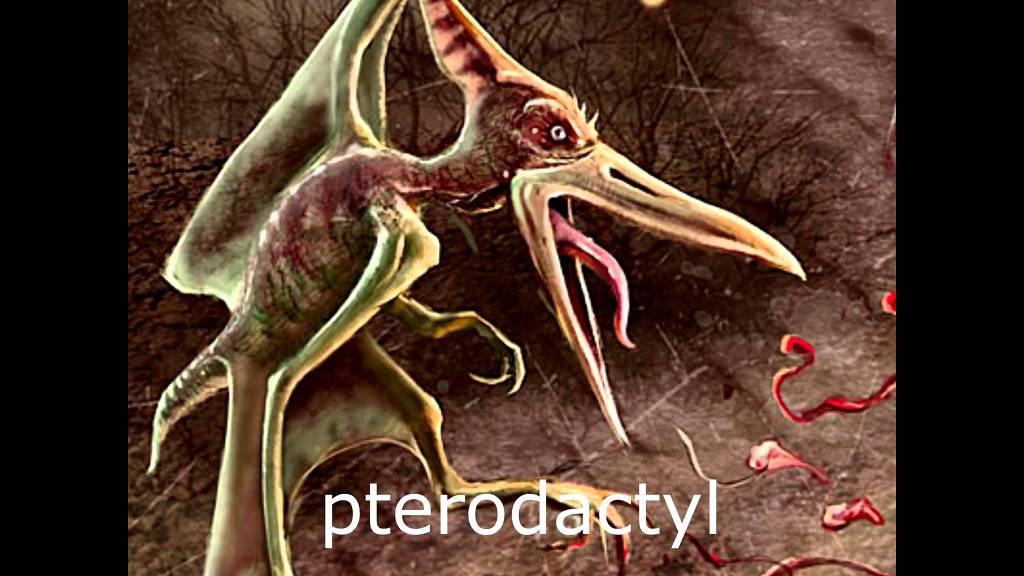 쉬스곤 익룡 버전 새로운 한류를 만들어가다 | 인스티즈