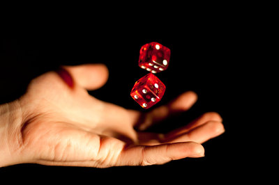 물리학 슈뢰딩거의 고양이에 대해 알아보자.araboza | 인스티즈