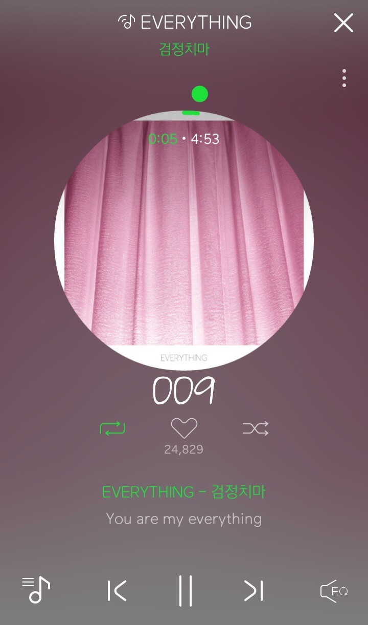 멜론 다운로드는 남았는데 들을 노래가 없어 고민하는 사람들을 위한 좋은 노래 추천 009. 검정치마 - EVERYTHING | 인스티즈