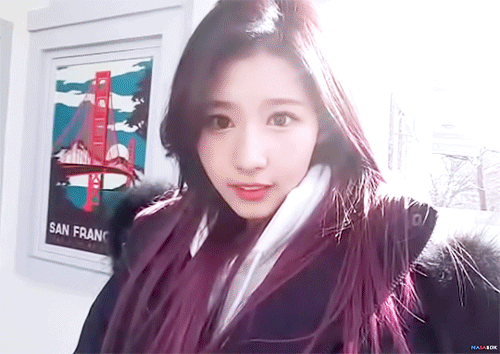 트와이스 사나 인생애교 갱신 영상.gif | 인스티즈