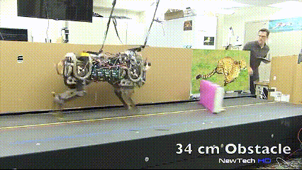 2016년 세상을 놀라게한 로봇들 | 인스티즈