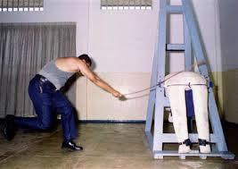 우리나라 성범죄와 음주운전에 즉시 도입되어야할 형벌 | 인스티즈