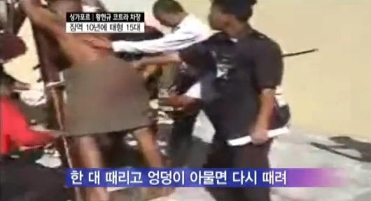 우리나라 성범죄와 음주운전에 즉시 도입되어야할 형벌 | 인스티즈