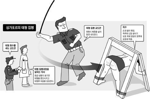 만약 이 형벌 도입되면 성범죄, 음주운전 90％ 사라진다 | 인스티즈