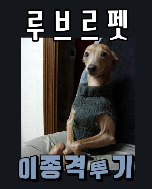 90년대후반 서울의 거리 | 인스티즈