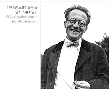 물리학 양자역학 : 슈뢰딩거의 고양이와 양자컴퓨터에 대해서 알아보자 | 인스티즈