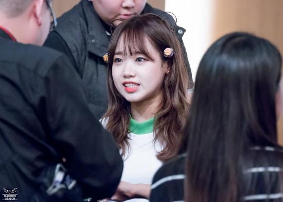 아직 입덕안한 사람들 에게 보여주고 싶은 아이오아이 특징 정리 | 인스티즈