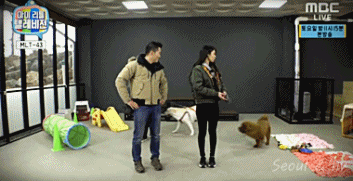 마리텔) 민아 키우는 개 gif | 인스티즈