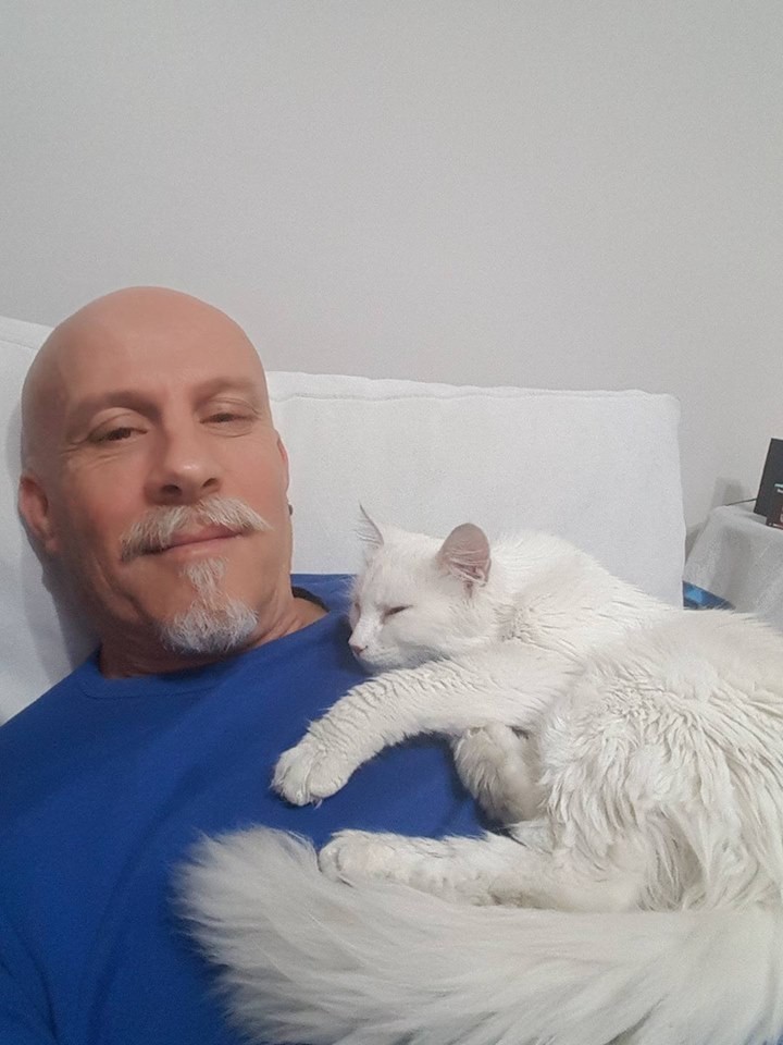 건물 자동문에 끼어 심장마비 온 길고양이를 심폐소생술로 살린 의사 이야기 | 인스티즈