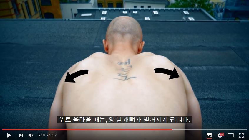 퍼펙트 푸쉬업(팔굽혀펴기) 하는 법 | 인스티즈