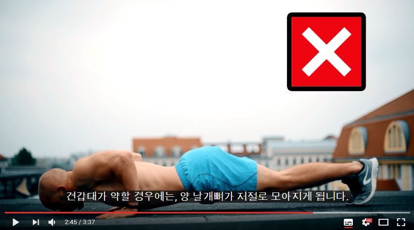 퍼펙트 푸쉬업(팔굽혀펴기) 하는 법 | 인스티즈