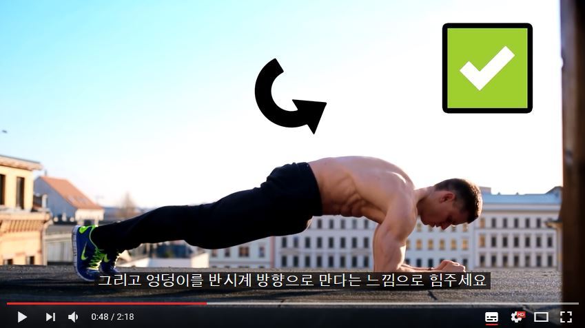 퍼펙트 플랭크 - 플랭크 정확히 하는 법 | 인스티즈