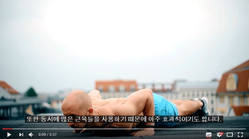 퍼펙트 푸쉬업(팔굽혀펴기) 하는 법 | 인스티즈