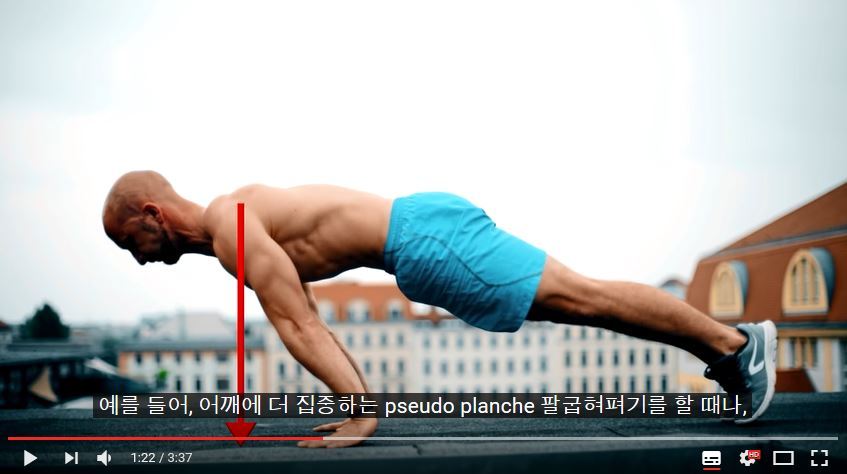 퍼펙트 푸쉬업(팔굽혀펴기) 하는 법 | 인스티즈