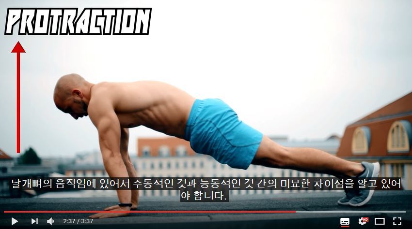 퍼펙트 푸쉬업(팔굽혀펴기) 하는 법 | 인스티즈