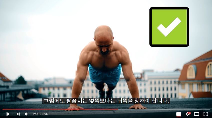 퍼펙트 푸쉬업(팔굽혀펴기) 하는 법 | 인스티즈