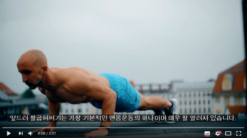 퍼펙트 푸쉬업(팔굽혀펴기) 하는 법 | 인스티즈