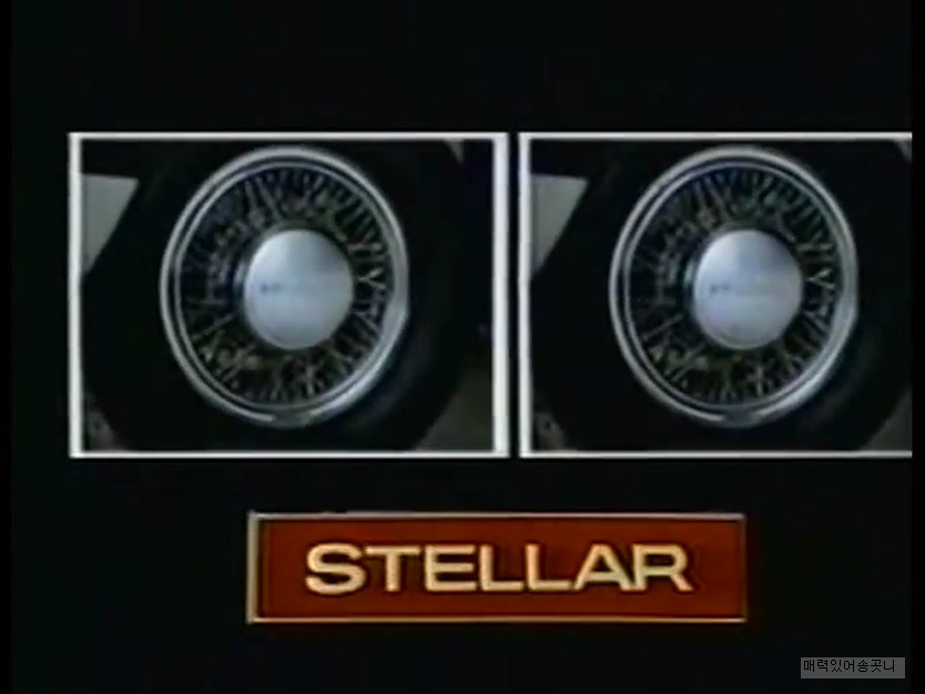 수출이 계속 늘고 있습니다 스텔라 | 인스티즈