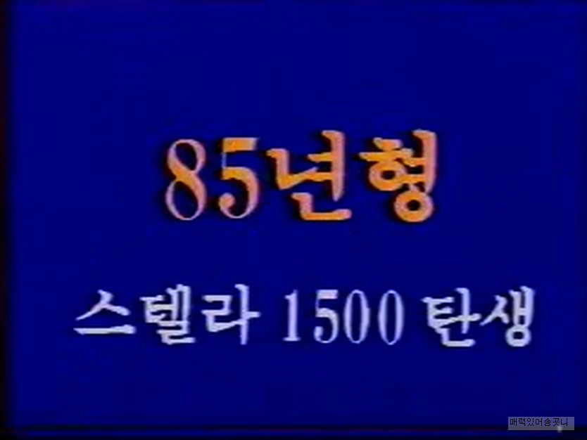 수출이 계속 늘고 있습니다 스텔라 | 인스티즈