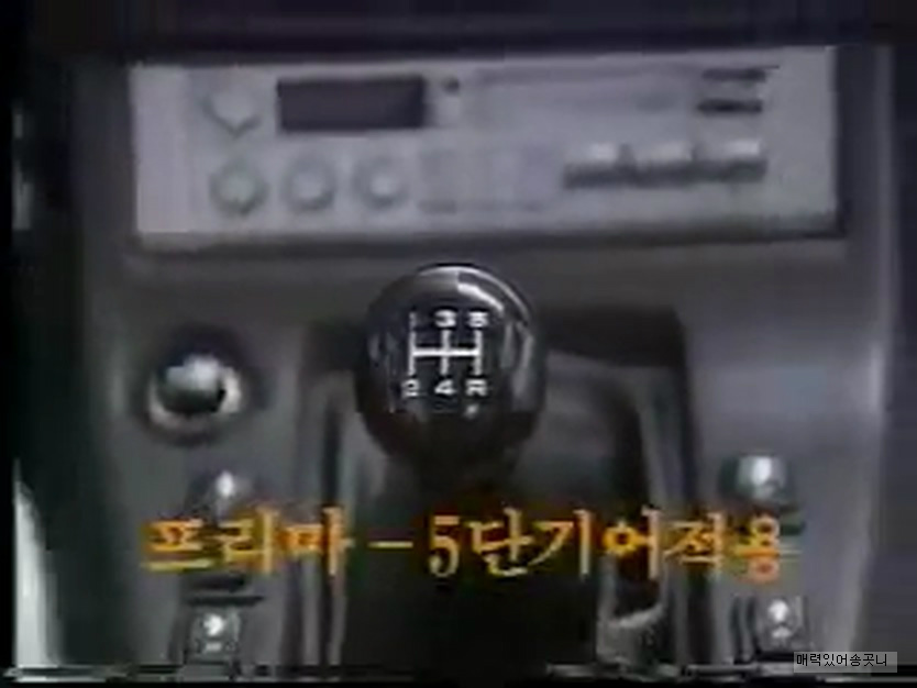 수출이 계속 늘고 있습니다 스텔라 | 인스티즈