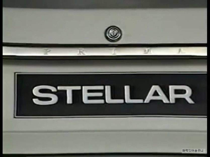 수출이 계속 늘고 있습니다 스텔라 | 인스티즈