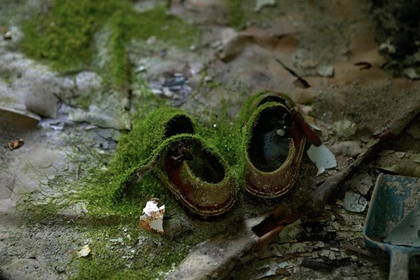 방사능은 후쿠시마에서 터졌는데 왜 다른 일본 도시까지 싸잡아서 위험하다고 유난떰? | 인스티즈