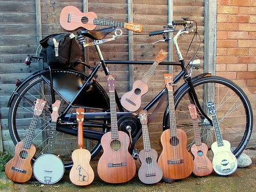 요새 인기있는 악기.jpg | 인스티즈