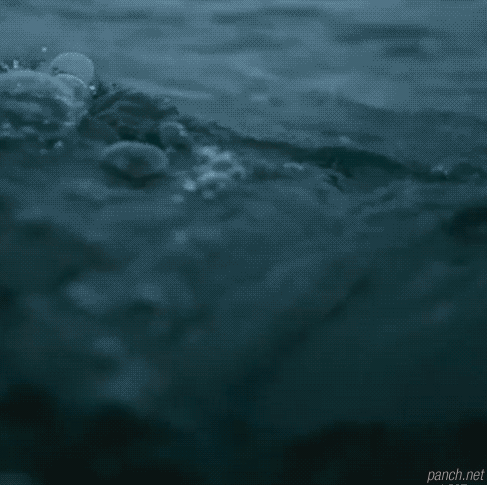 바다에 빠졌는데 이러면 어떡할거야? (상어주의) | 인스티즈