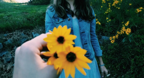 [꽃에대한시/글귀들] 너를 사랑하지 않았다면 어떻게 그 풍경을 견딜 수 있었을까 | 인스티즈